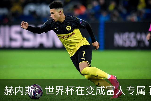 赫内斯：世界杯在变成富人专属 再商业化1张中等票也不该2千美金